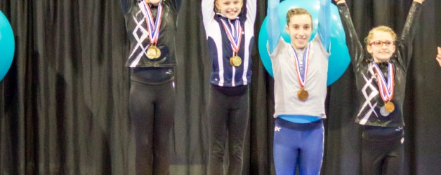 March 17, 2017 – Level 9 Michigan State Championships, Battle Creek, MI