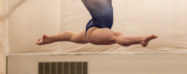 March 16, 2019 – Michigan State Meet, Grand Rapids, MI